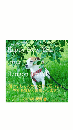 New year dog2018s